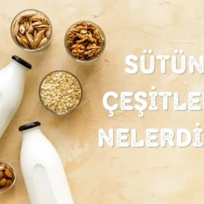 SÜTÜN ÇEŞİTLERİ NELERDİR